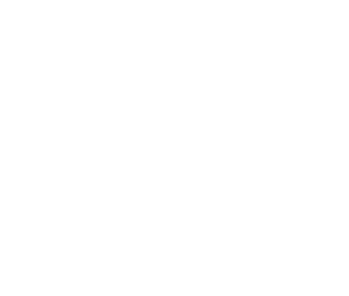 A2F Partners crest